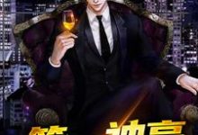 第一神豪小说免费资源，第一神豪在线阅读-侠客文学