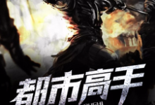 都市高手这本小说完结了吗？免费查看最新章节-侠客文学