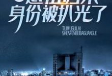 卧底一生：退伍归来身份被扒光了夏东阳赵雪妍小说在线章节目录阅读最新章节-侠客文学