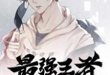 已完结小说《最强王者闯都市》在线章节阅读-侠客文学