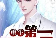 在线搜索叶临风萧岚的完整小说，免费阅读重生：第一豪门医圣-侠客文学