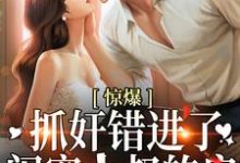 惊爆！抓奸错进了闺蜜小叔的房这本小说在哪里可以看？哪里有免费试读章节？-侠客文学