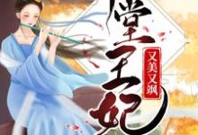 已完结小说《下堂王妃又美又飒》章节在线阅读-侠客文学