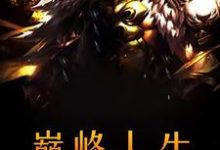 巅峰人生小说有没有完结版在线?-侠客文学