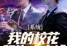 完结版《系统:我的校花舔狗太高冷》在线免费阅读-侠客文学