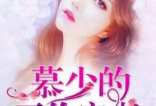 完结版《慕少的天价宠妻》章节阅读-侠客文学