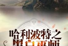 完结版《哈利波特之黑白巫师》免费阅读-侠客文学
