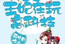 小说《王爷，王妃在玩高科技》在线章节阅读-侠客文学