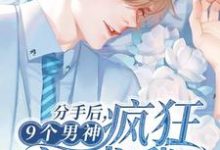 分手后，9个男神疯狂追求我主角陈数高铭小说完结版章节在线阅读-侠客文学
