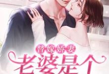 替嫁娇妻：老婆是个隐藏大佬小说的免费阅读版本在哪里可以找到？-侠客文学