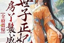 全府震惊，通房丫鬟成了世子正妃 乔晚傅清淮，全府震惊，通房丫鬟成了世子正妃最新章节-侠客文学