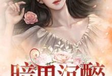 傅沉夜戚酒是哪本书的主角?寻找暗里沉醉免费阅读-侠客文学