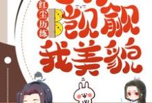 《红尘历练：总有人觊觎我美貌》全集免费在线阅读（司莲容宴）-侠客文学