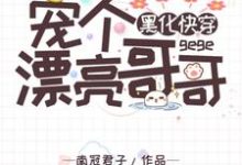 姬芮司墨小说《黑化快穿：宠个漂亮哥哥》在线阅读-侠客文学