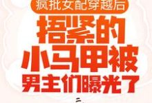 《疯批女配穿越后，捂紧的小马甲被男主们曝光了》小说章节列表免费试读， 池奚宁齐皓小说在线阅读-侠客文学