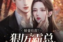 娇妻有喜!狠厉霸总他走下神坛林谨秦厉在线章节免费阅读-侠客文学