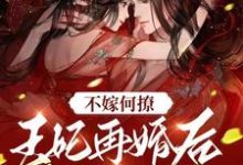 不嫁何撩,王妃再婚后被宠上天这本小说完结了吗?免费查看最新章节-侠客文学
