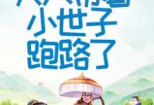 《首辅大人不好了！夫人带着小世子跑路了》小说章节列表免费试读，程颂安崔元卿小说在线阅读-侠客文学