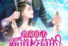 主人公叫赵清子曾一冰的小说哪里免费看-侠客文学