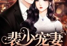 完结版《裴少宠妻太甜蜜》章节阅读-侠客文学