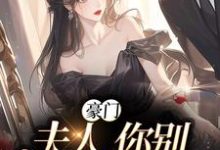 苏烟秦时砚小说在线章节免费阅读（豪门：夫人，你别丢下我无弹窗无删减）-侠客文学