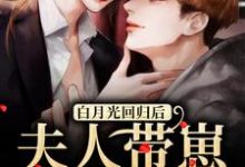 温曦厉廷玺为主角的小说叫什么?免费看白月光回归后,夫人带崽要离婚-侠客文学