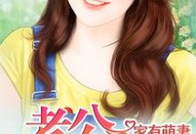 主角顾青秧段示乾沈子昂顾雪棉小说家有萌妻免费阅读-侠客文学