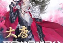 大唐：开局就是驸马爷小说，大唐：开局就是驸马爷在线阅读-侠客文学