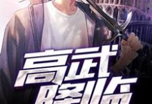 高武降临林枫李月婵小说在线章节免费阅读-侠客文学