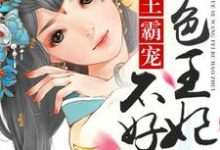 已完结小说《绝色王妃不好追》章节免费阅读-侠客文学