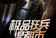 求极品狂兵混都市小说免费资源-侠客文学