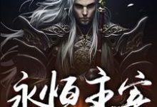 哪里能找到永恒主宰小说的全部章节?-侠客文学