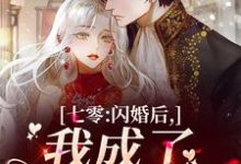 沈洁容迟小说叫什么（七零：闪婚后，我成了首长夫人免费阅读）-侠客文学