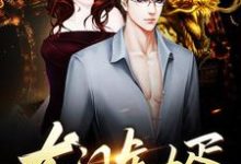 小说《龙门虎婿》在线章节阅读-侠客文学