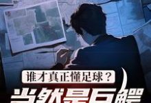 谁才真正懂足球？当然是巨鳄大亨我这本小说完结了吗？免费查看最新章节-侠客文学