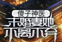 楚元宋南伊为主角的小说叫什么？免费看傻子神医：未婚妻她不离不弃-侠客文学