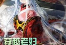 满星卫承宽卫承启方荷小说《穿越老妇:我累了,求躺平!》在线阅读-侠客文学