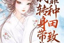 穿成寡妇？我转身带崽靠种田致富小说免费资源，穿成寡妇？我转身带崽靠种田致富在线阅读-侠客文学