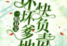 小说《一胎双宝:坏坏爹地快负责》在线章节阅读-侠客文学