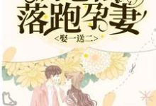 小说《娶一送二，厉总的落跑孕妻》章节免费阅读-侠客文学