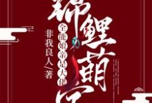 锦鲤萌宝:全能娘亲是大佬章节免费在线阅读,叶楚月夜墨寒小宝叶子喻完结版-侠客文学