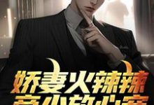 娇妻火辣辣:帝少放心宠这本小说完结了吗?免费查看最新章节-侠客文学