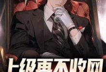 完结版《上级再不收网，我就成老大了》章节阅读-侠客文学