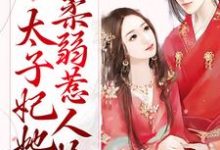 主角叫慕梓寒周璟的小说在哪阅读-侠客文学