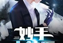 小说《妙手小神医》章节免费阅读-侠客文学