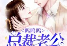 哪里能找到呜呜呜，总裁老公是坏蛋小说的最新更新和免费章节？-侠客文学