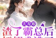 小说《夭寿啦!渣了霸总后插翅难逃了》在线章节阅读-侠客文学