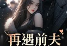 再遇前夫，撩拨入骨小说有没有完结版在线？-侠客文学