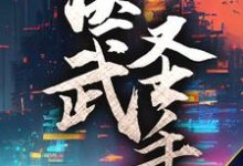 医武圣手 叶拂衣唐筇藜小说大结局免费试读-侠客文学