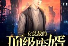 小说《女总裁的顶级废婿》在线章节阅读-侠客文学